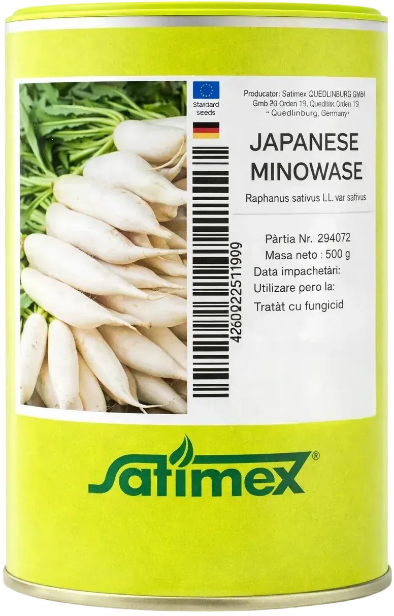 Semințe Ridiche Daikon Satimex Japanese Minowase