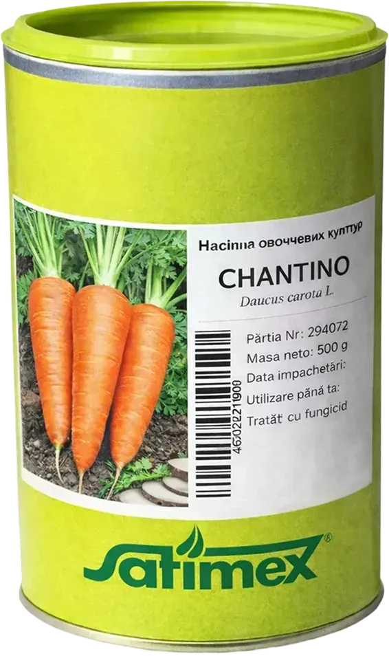 Semințe Morcov Satimex Chantino