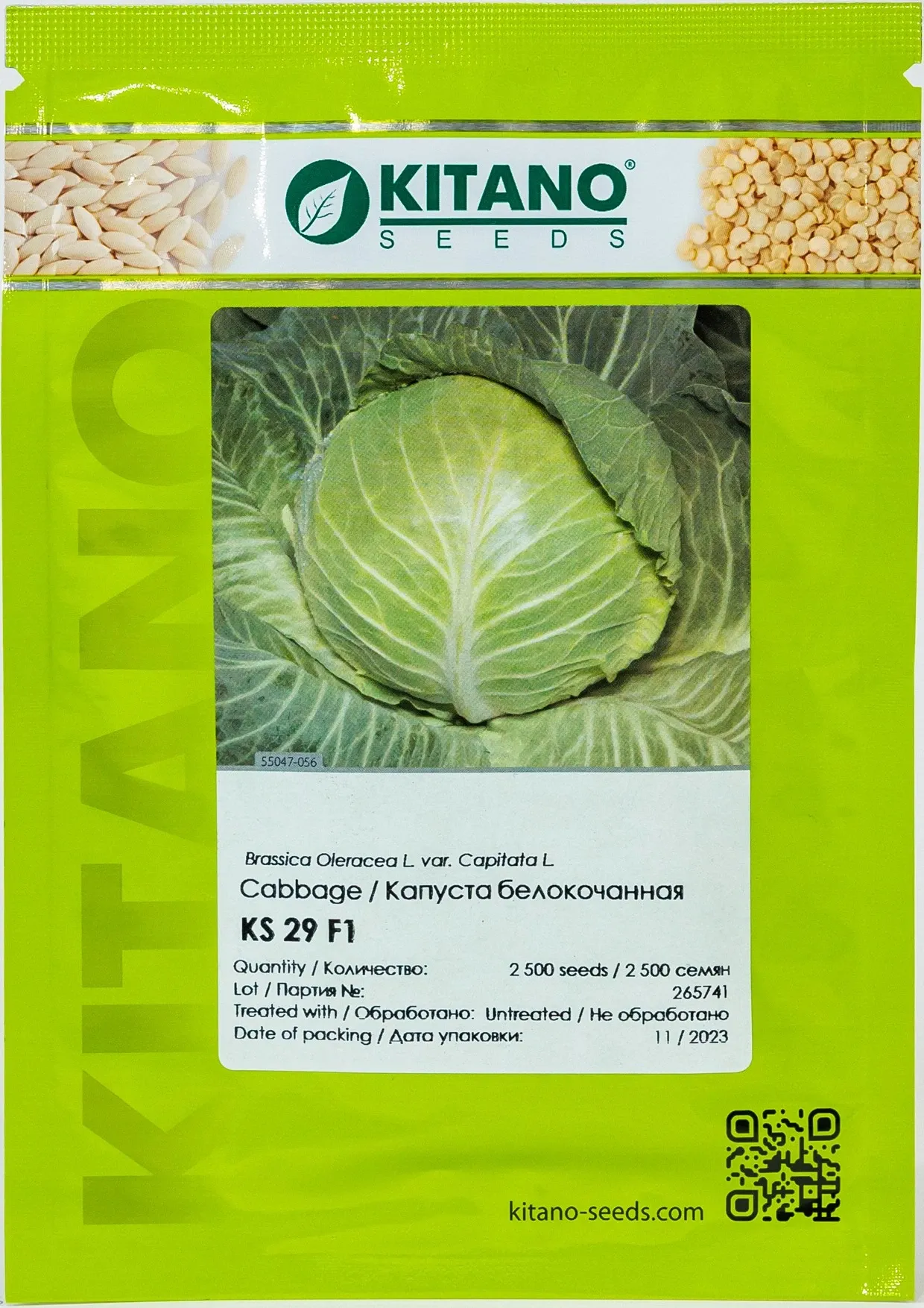 Kitano KS 29 F1 – Semințe Profesionale de Varză Albă (2500 semințe)