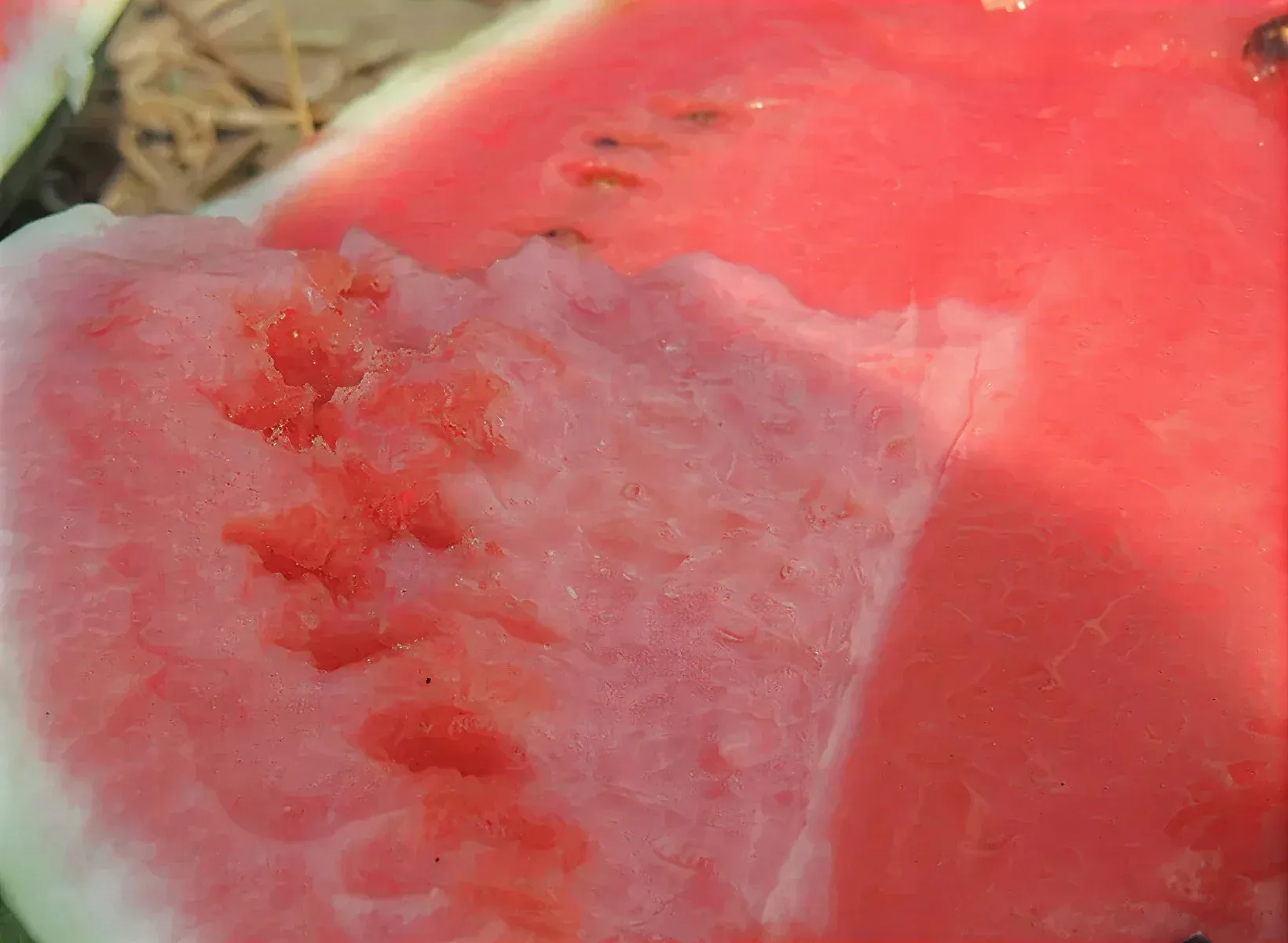 Semințe Pepene Verde Libra Seeds AU Producer