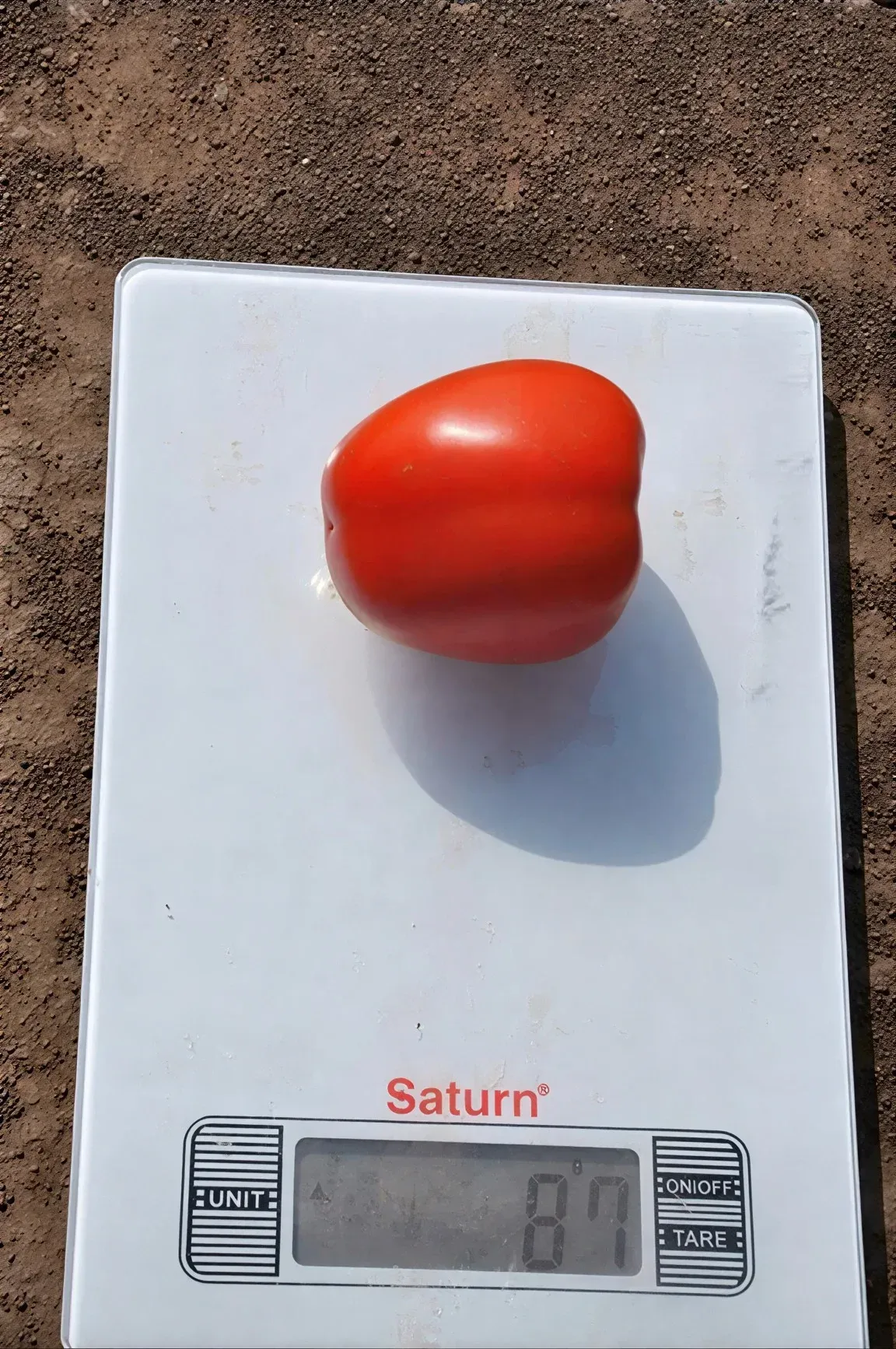 Semințe Tomate Libra Seeds Megrez F1