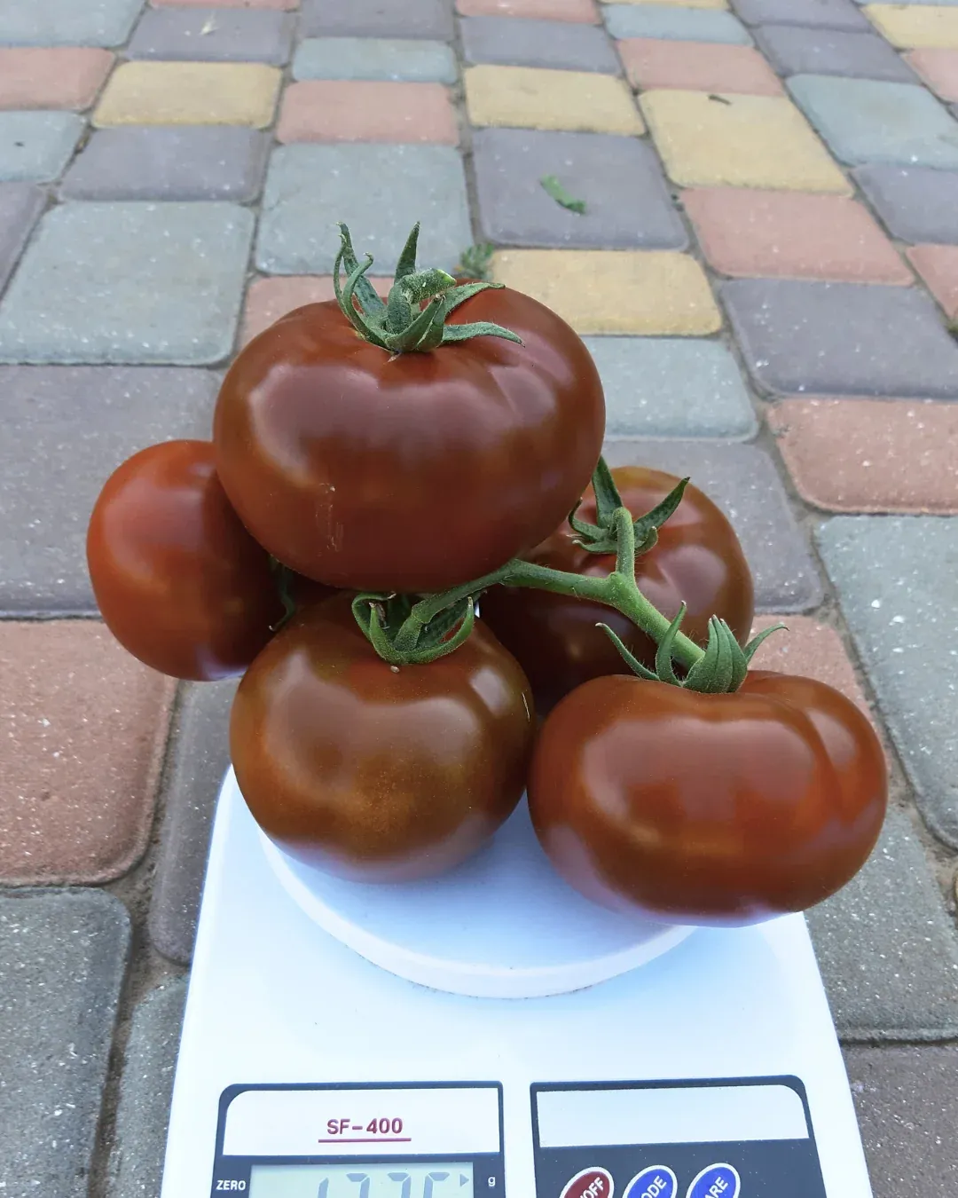 Semințe Tomate Libra Seeds Keruc F1