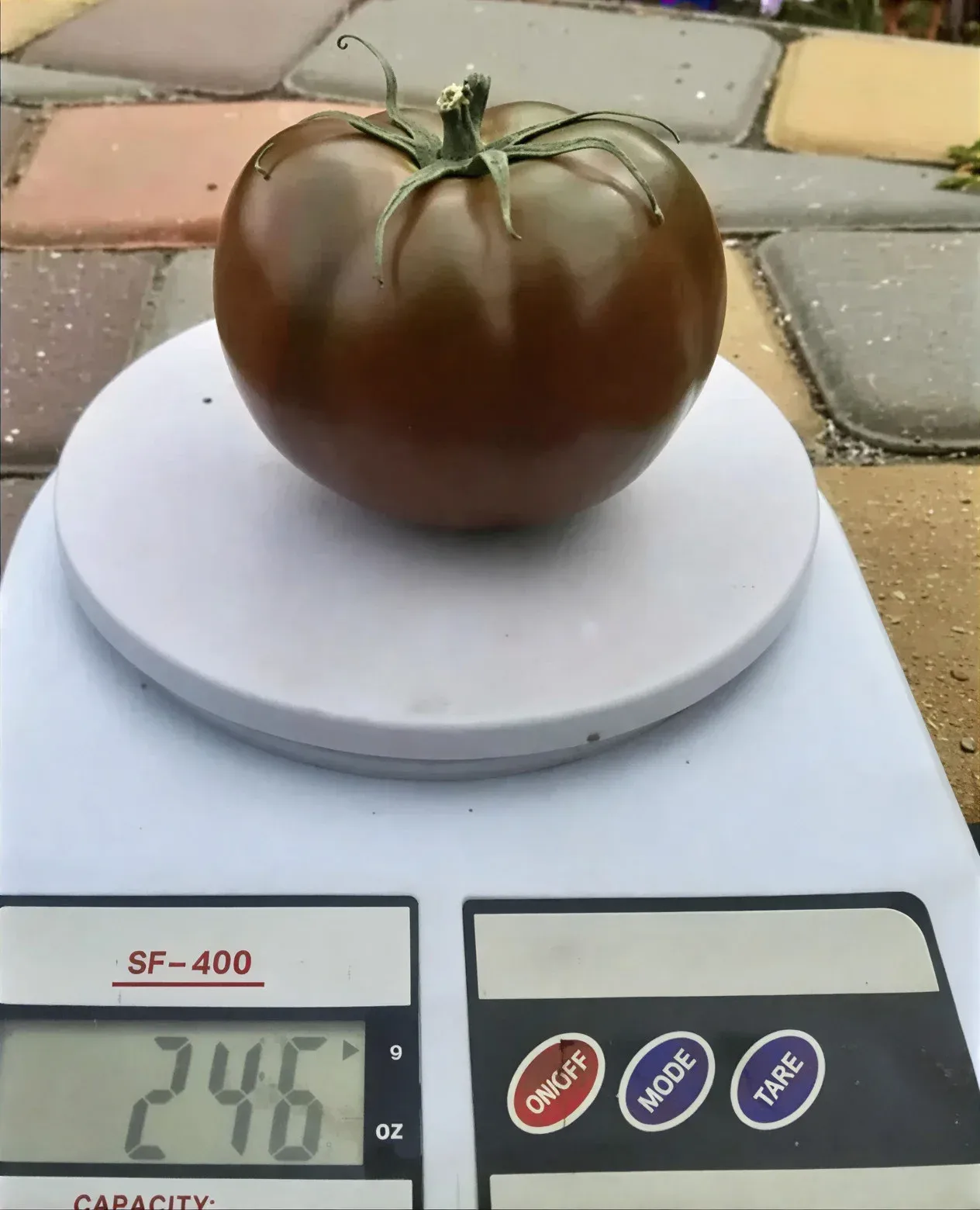 Semințe Tomate Libra Seeds Silivri F1